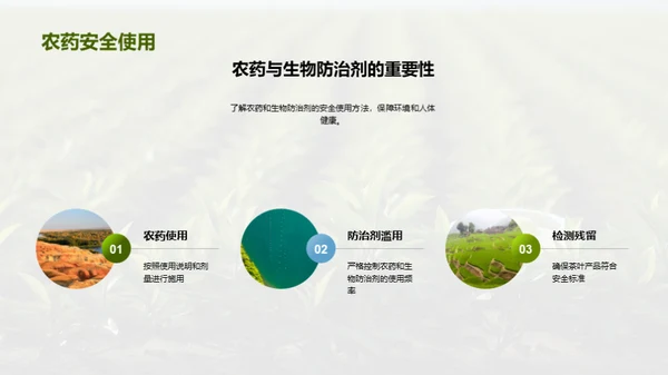 茶园病虫害科学防治