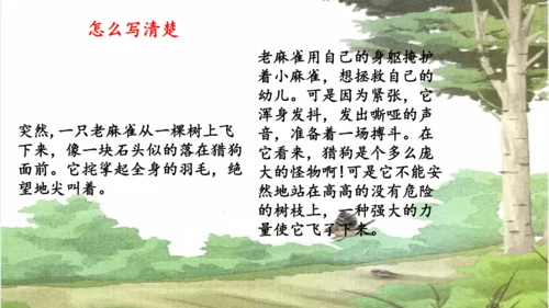 第16课《麻雀》课件