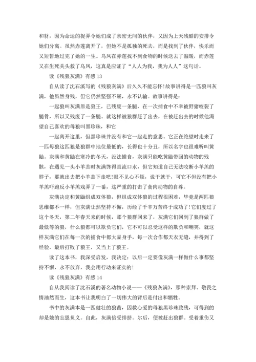 读《残狼灰满》有感14篇.docx