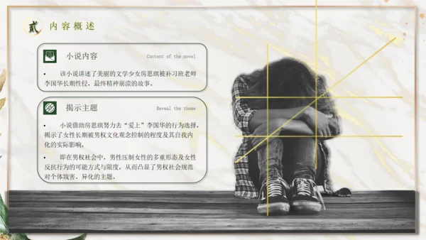 《房思琪的初恋乐园》神鹿读书分享通用PPT
