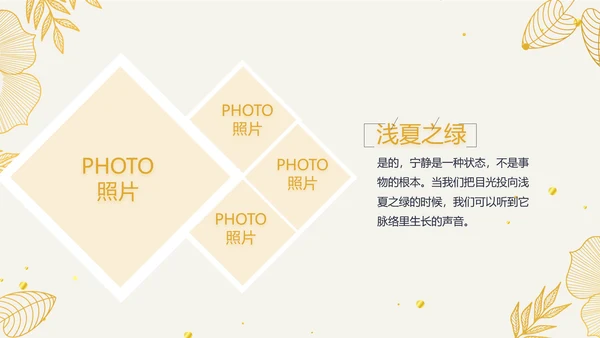 复古欧式电子相册动态PPT模板封含