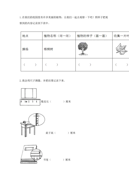 教科版小学一年级上册科学期末测试卷附答案【轻巧夺冠】.docx