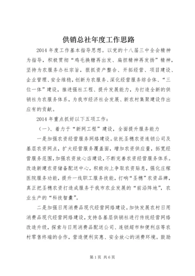 供销总社年度工作思路.docx