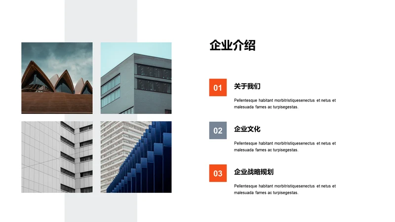 单色扁平3项企业介绍