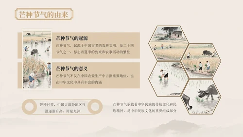 浅粉色中国风芒种节气的传统文化与习俗ppt模版