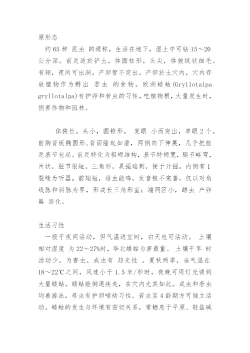 蝼蛄.docx