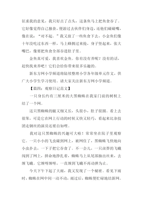 四年级作文观察日记-1.docx