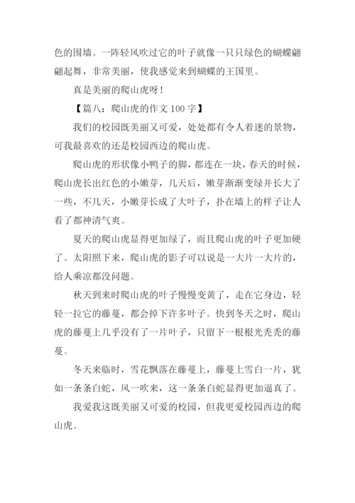 爬山虎的作文100字.docx