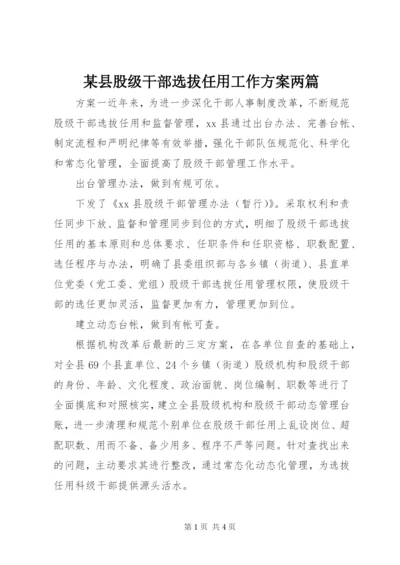 某县股级干部选拔任用工作方案两篇.docx