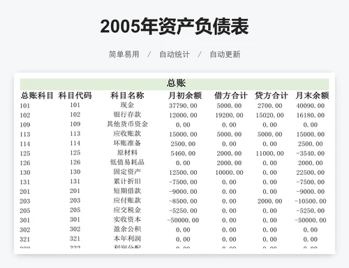 2005年资产负债表