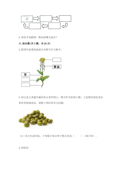 科学四年级下册第一单元《植物的生长变化》测试卷附完整答案【名师系列】.docx