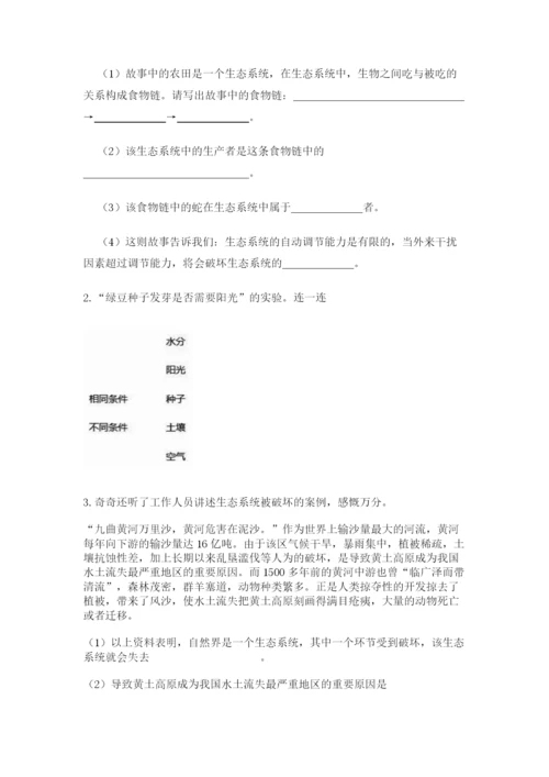 教科版五年级下册科学第一单元《生物与环境》测试卷含答案（a卷）.docx