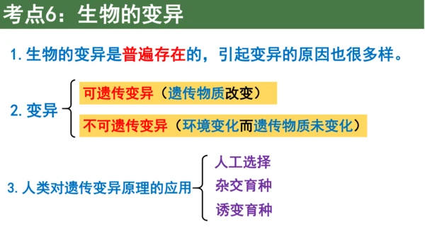 八下 第七单元复习课件(共58张PPT)