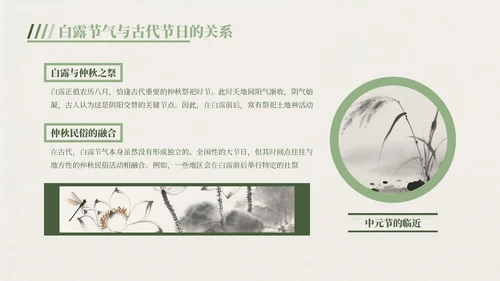 绿色中国风白露节气主题班会PPT模板