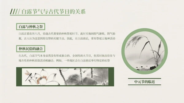 绿色中国风白露节气主题班会PPT模板