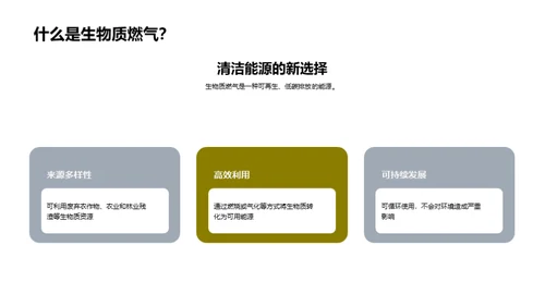 携手生物质燃气，照亮绿色未来