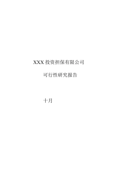 担保公司可行性专题研究报告详细(2).docx