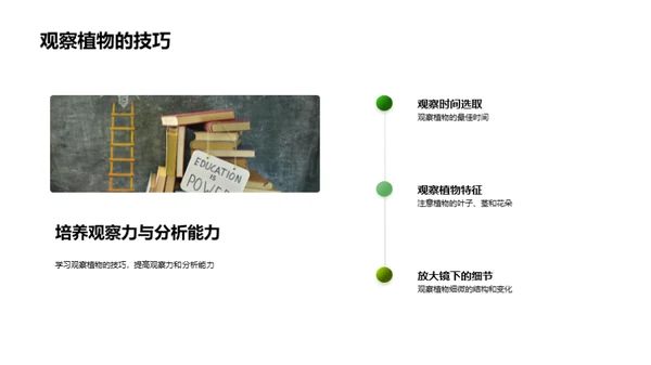 揭秘植物生命