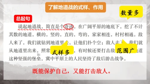 8 冀中的地道战 课件