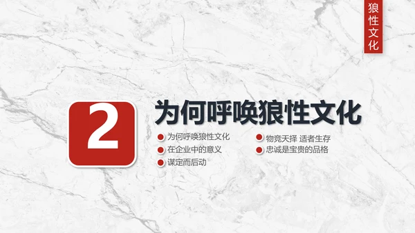 团队企业文化狼性文化员工培训PPT