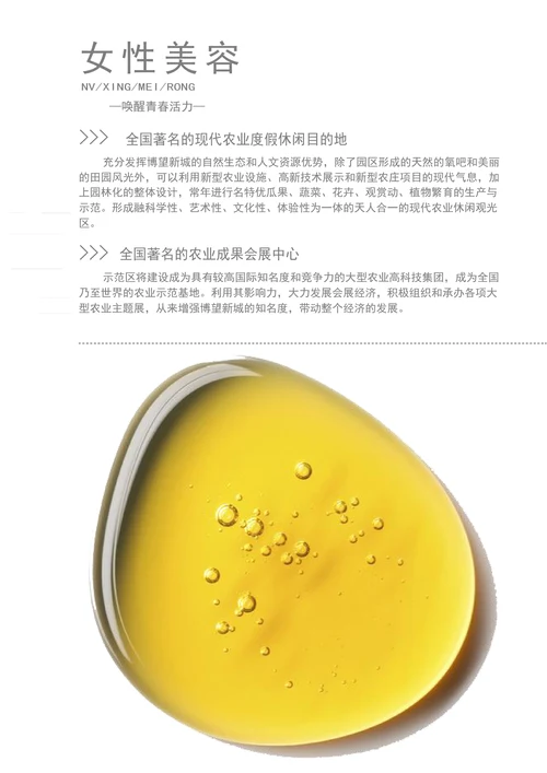 美容护肤手绘风企业宣传册