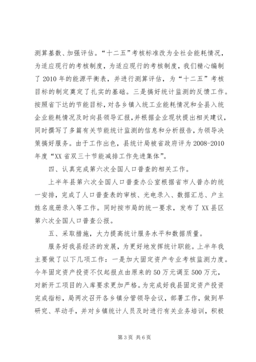 统计工作半年度总结及安排.docx