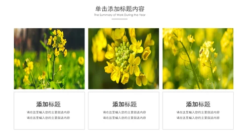 春天乡村旅游油菜花风景油菜花田PPT模板