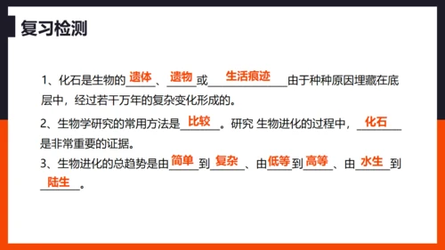 生命起源和生物进化企鹅通用PPT模板