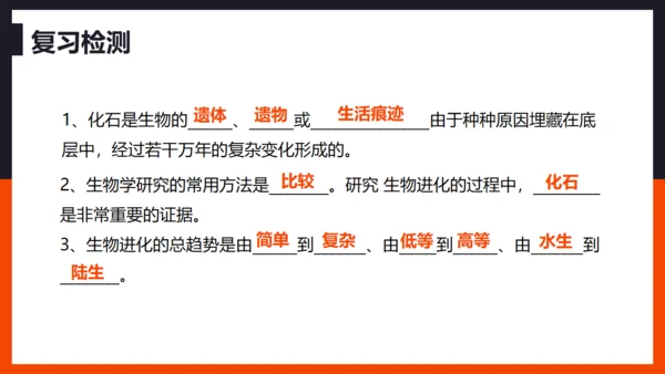 生命起源和生物进化企鹅通用PPT模板