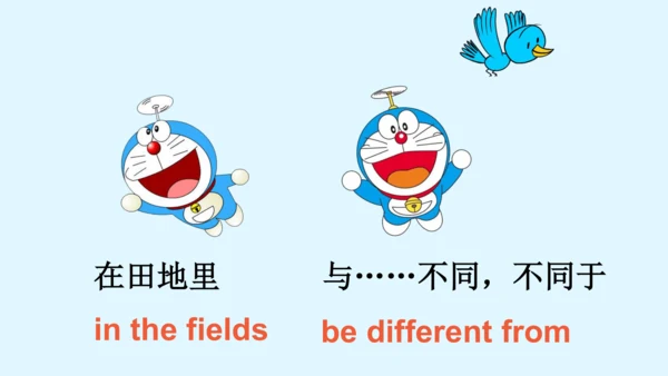 外研版三起五年级下册Review of Module 1课件（36张PPT)