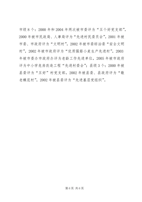村党支部书记典型事迹.docx