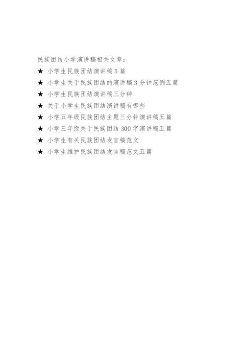 民族团结小学演讲稿.docx