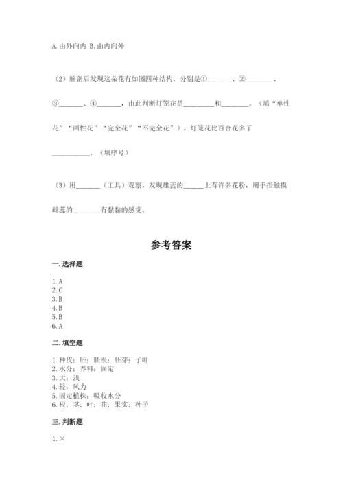 教科版科学四年级下册第一单元《植物的生长变化》测试卷完整参考答案.docx
