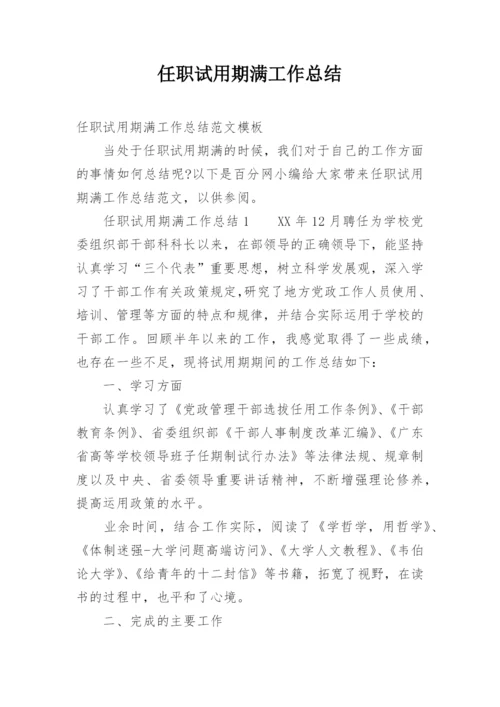 任职试用期满工作总结.docx