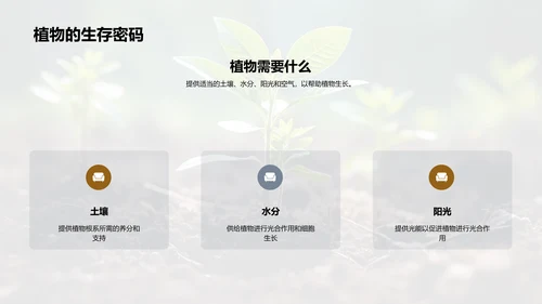 探索植物成长