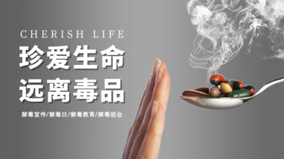珍爱生命远离毒违禁品禁毒宣传通用PPT课件模板