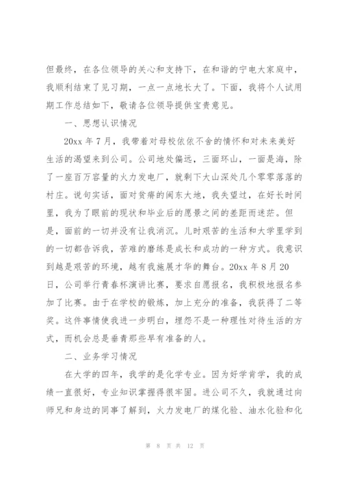 新员工个人试用期转正工作总结3000字.docx