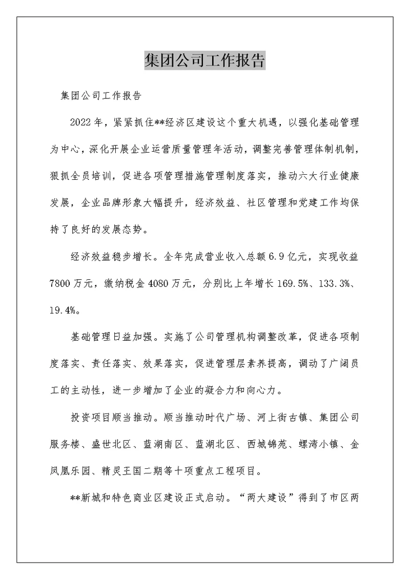 集团公司工作报告