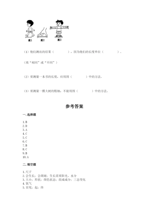 教科版一年级上册科学期末测试卷往年题考.docx