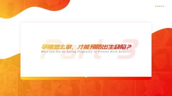 关注唐宝与爱同行PPT模板