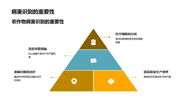 农作物病害解析与防控