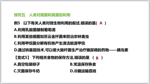 【人教八上生物期中复习考点梳理+临考押题】第四、五章 细菌、真菌和病毒（串讲课件）(共30张PPT)