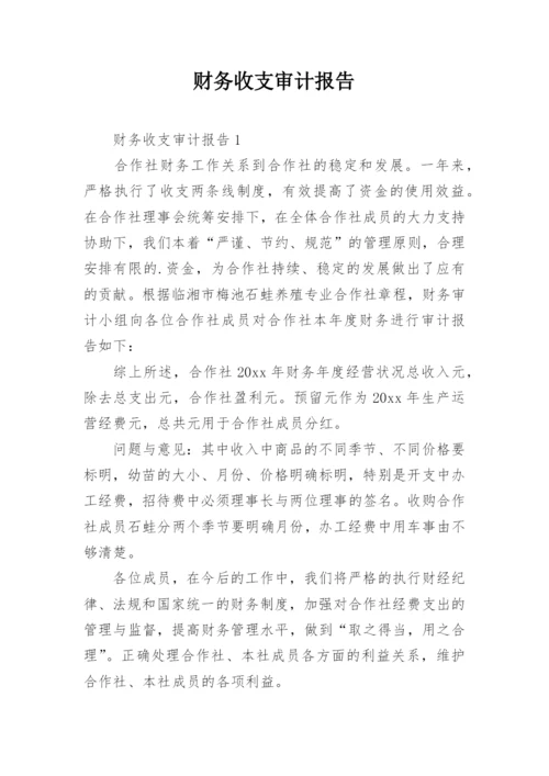 财务收支审计报告_4.docx