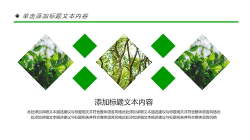 绿色环保森林生态文明建设森林日环保PPT模板