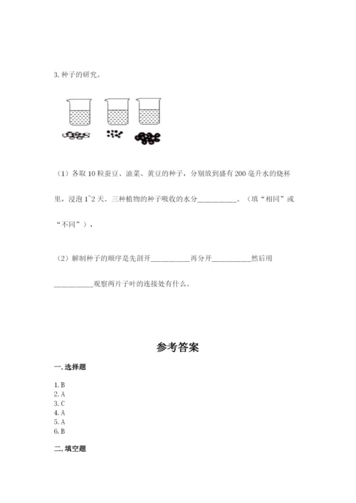 教科版科学四年级下册第一单元《植物的生长变化》测试卷（黄金题型）.docx