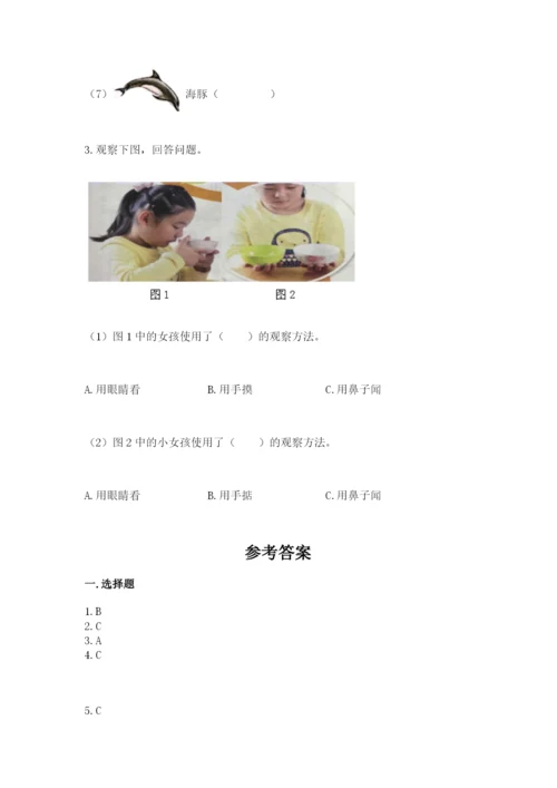 教科版小学二年级上册科学期末测试卷含答案（考试直接用）.docx