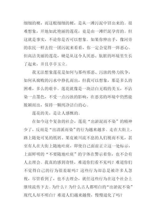 关于染的作文.docx