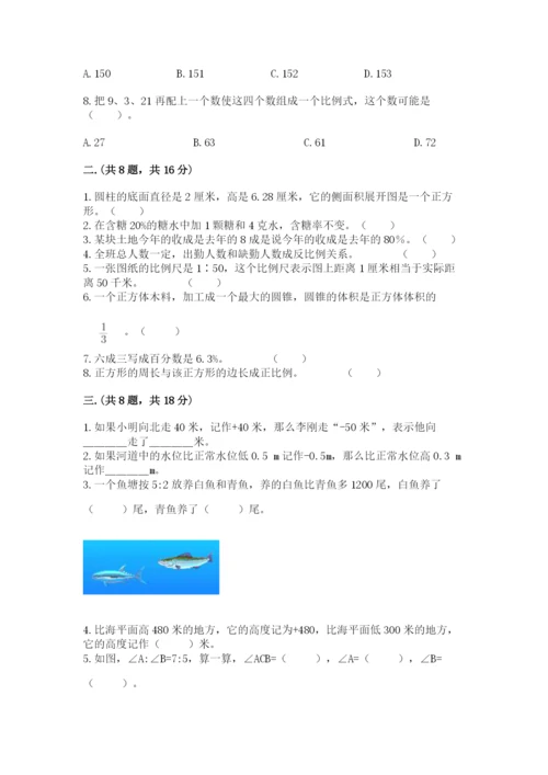 苏教版六年级数学小升初试卷精品及答案.docx