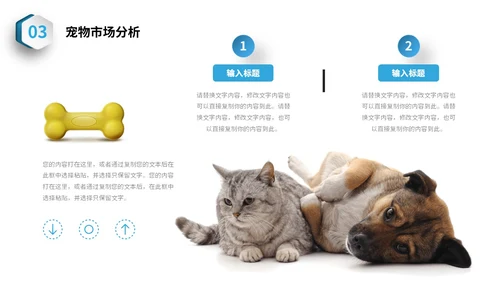 蓝色简约3D立体宠物商业计划书PPT