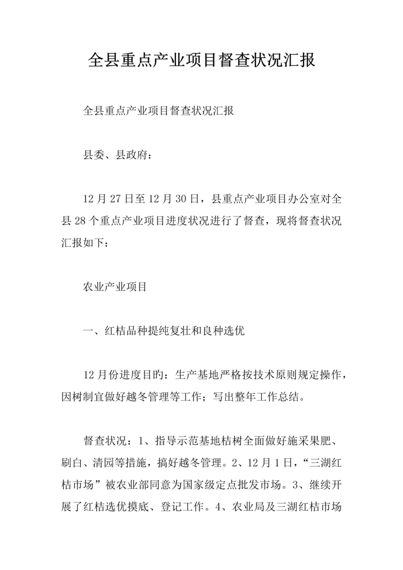 全县重点产业项目督查情况汇报.docx